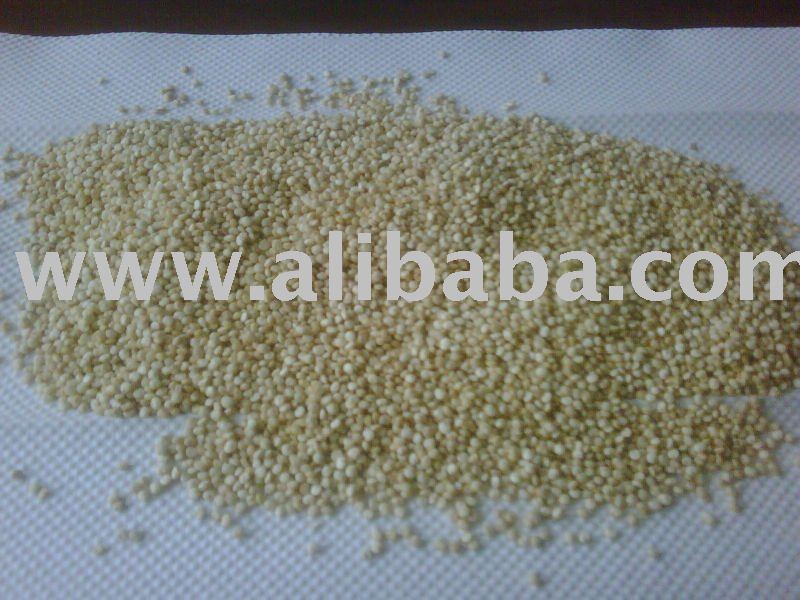 Quinoa