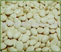 Baby Lima Beans