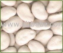 Large Lima Beans