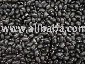 Black Beans
