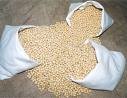 Yellow Soybean, meal and oil.