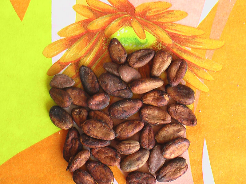 Cocoa Beans