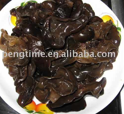 black fungus