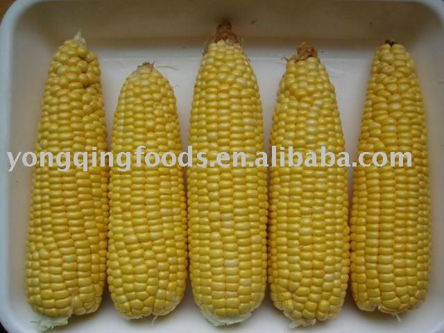 frozen sweet corn