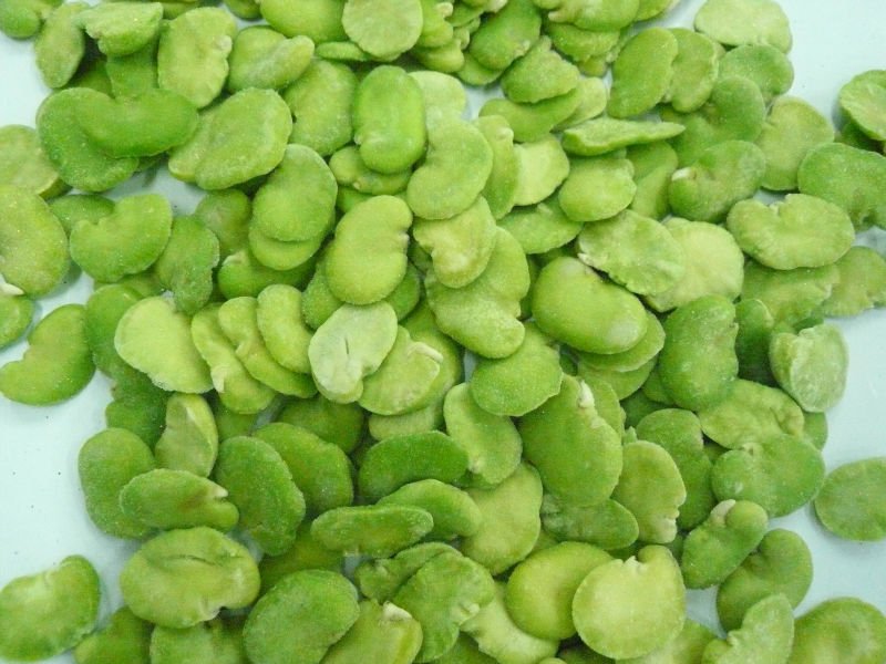Broad Bean Kernel (Horsebean)