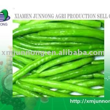 Green bean,green mung bean,frozen iqf green bean,frozen vegetable,cut green bean