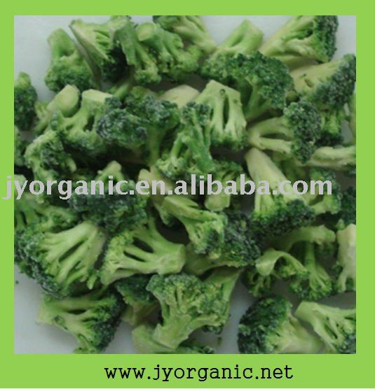 Frozen ( IQF )  Organic   Broccoli  with better price