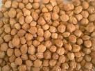 Quality Chickpeas in hudge quantity for sell