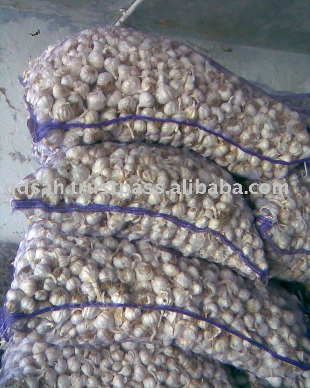 Sell offer for  Fresh  Garlic  from   India 
