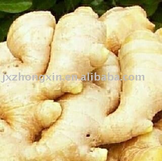 spices air dried fresh ginger size 350g