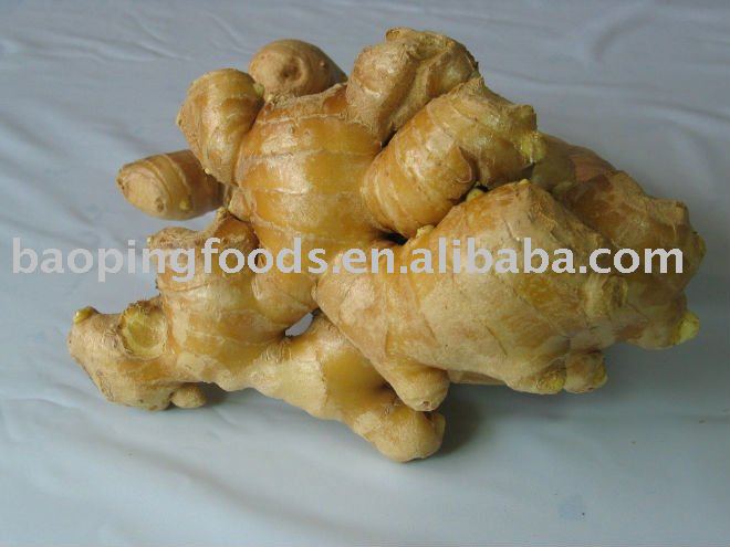 yellow fresh ginger