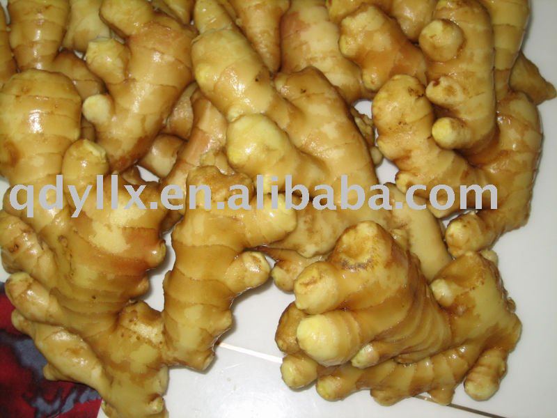  New  crop chinese  yellow  fresh  ginger 