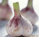 normal white garlic 20kg/mesh bag