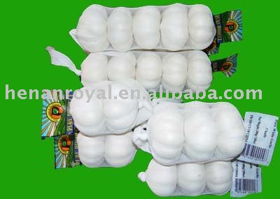 Pure White Garlic