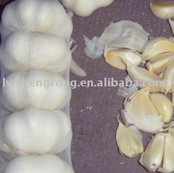 2010 garlic,fresh garlic,fresh pure white garlic,fresh normal white garlic