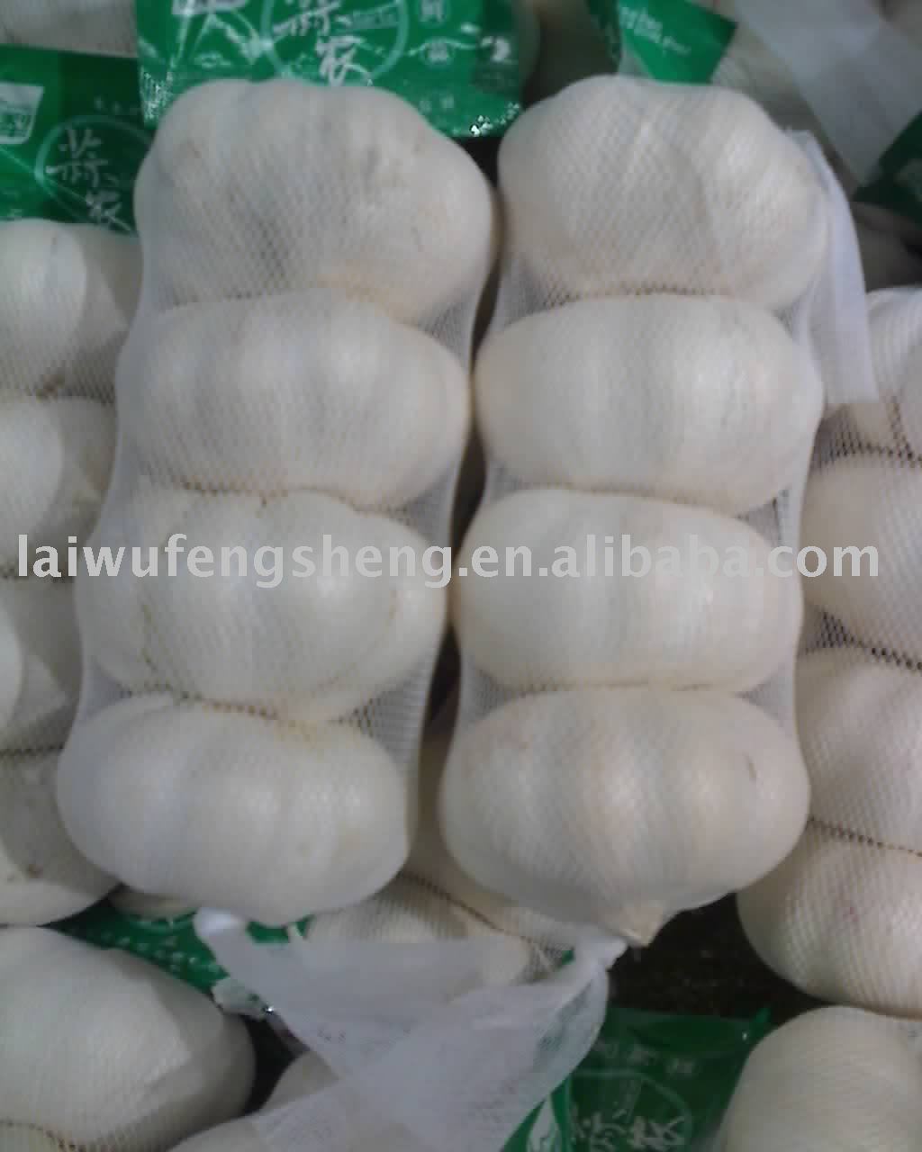 garlic