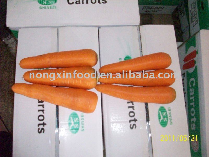 2011 new crop chinese  fresh carrot