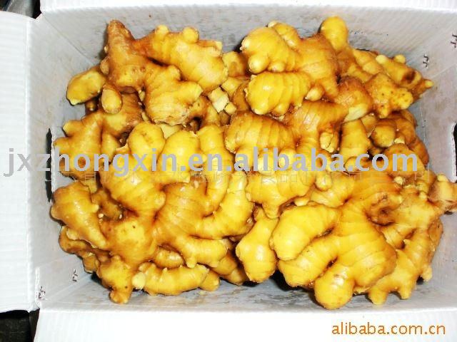organic  spice fresh ginger size 200g up