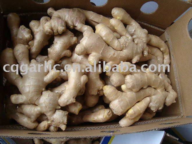2011 New Fresh Ginger