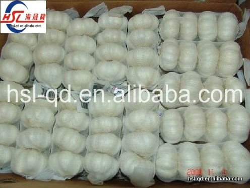 supply fresh pure white garlic