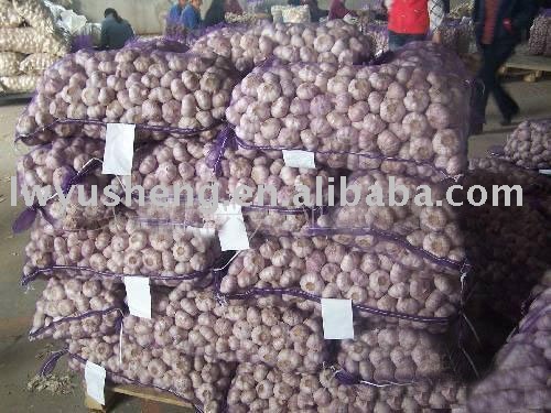 pure white normal natural garlic