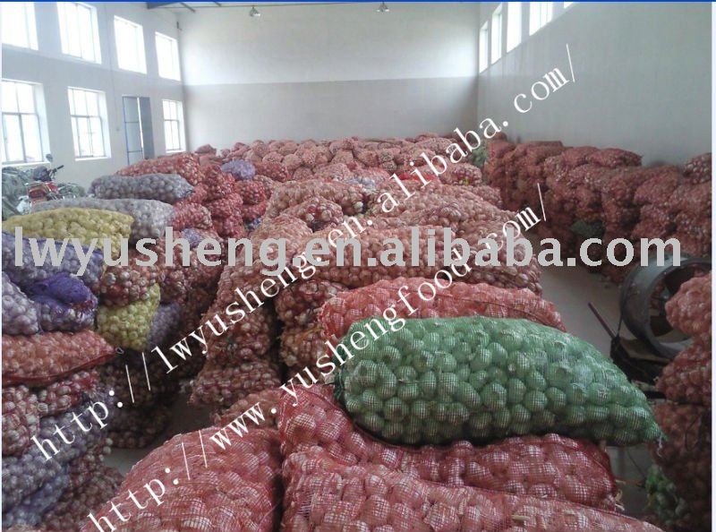 Chinese garlic 5.5 cm pure white  mesh  bags