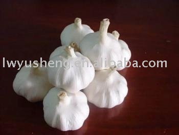 white garlic normal garlic with L/C