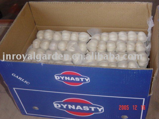 Chinese pure white/normal white garlic
