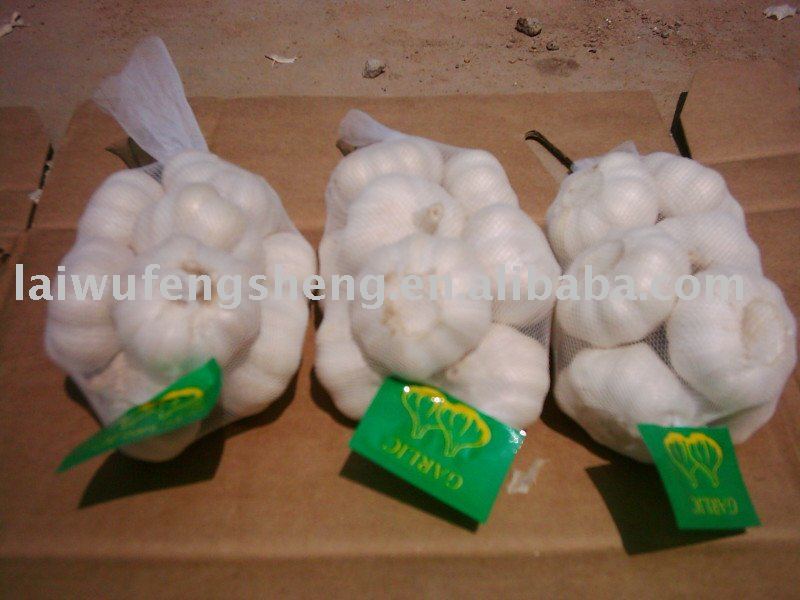 laiwu fresh jinxiang pizhou white normal pure white garlic