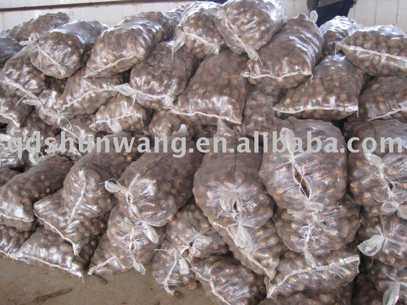 chinese fresh taro
