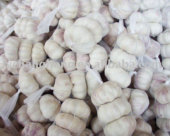 best quality normal white garlic