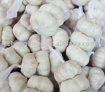 highest quality fresh garlic products,China highest quality fresh
