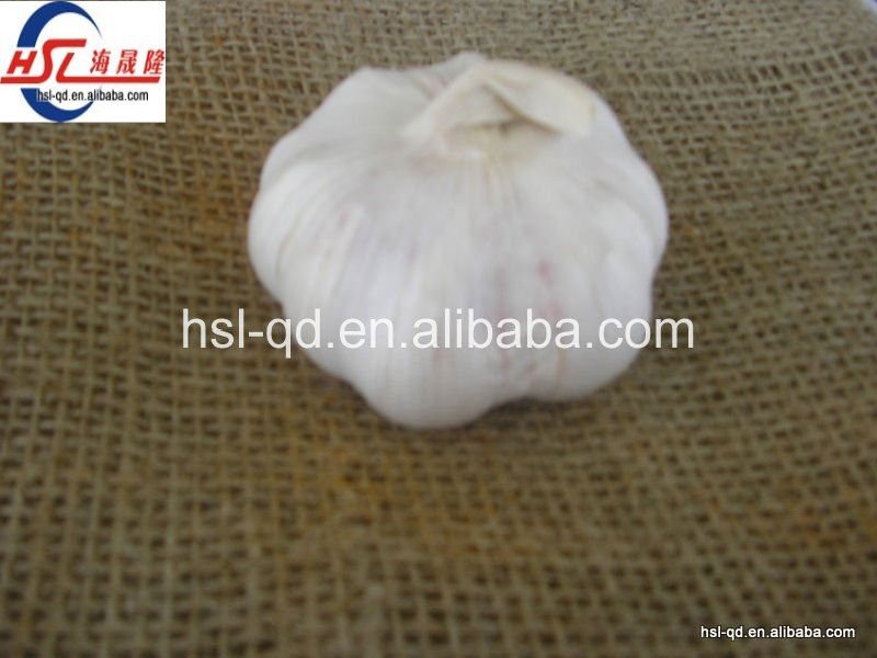 China fresh normal white garlic