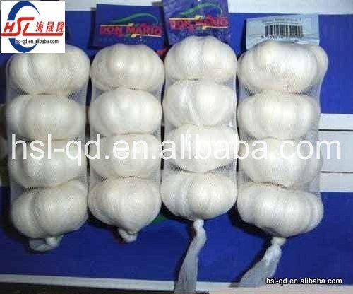 high quality fresh white garlic