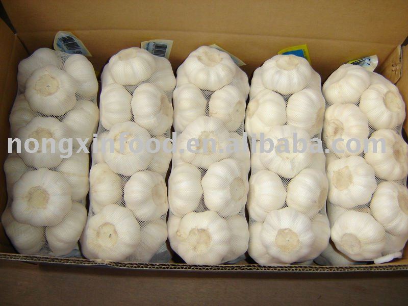 2011 new crop chinese fresh normal white garlic