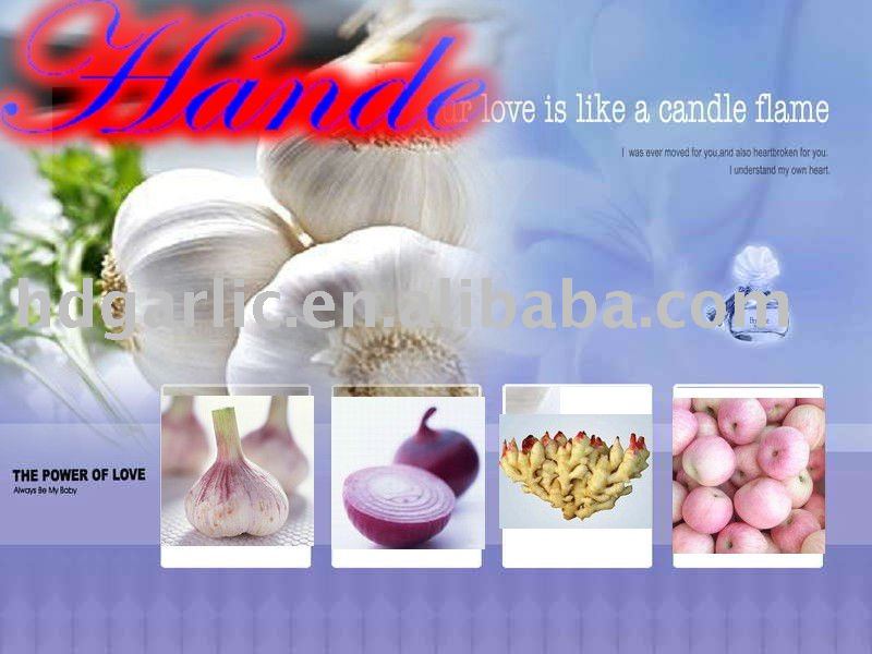 garlic 2011 crop from jinxiang