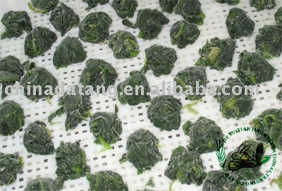 supply frozen spinach ball,China Datang price supplier - 21food