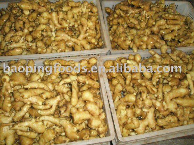 chinese ginger