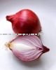 fresh  organic   red   onion 
