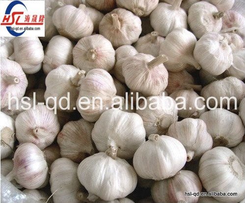 2011 crop 4.5cm fresh garlic