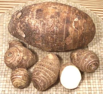 chinese fresh vegetable taro
