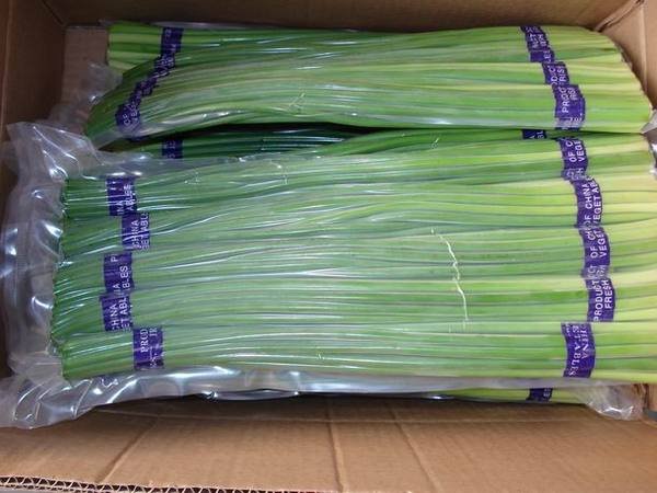  fresh   garlic  shoot,2011