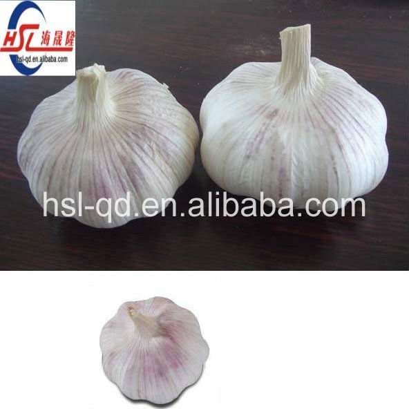 normal pure white garlic