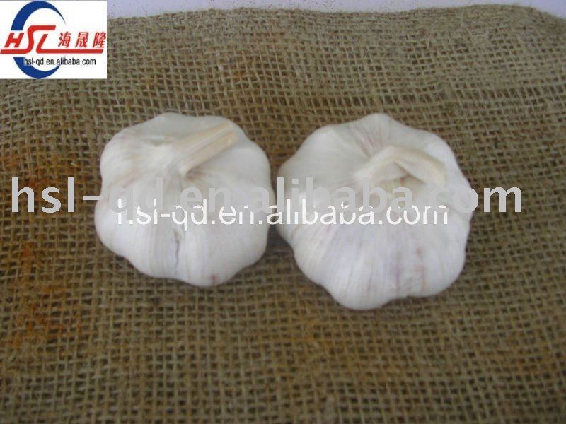 pure white fresh garlic from China