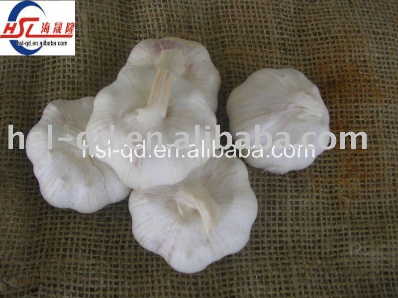 good white fresh garlic