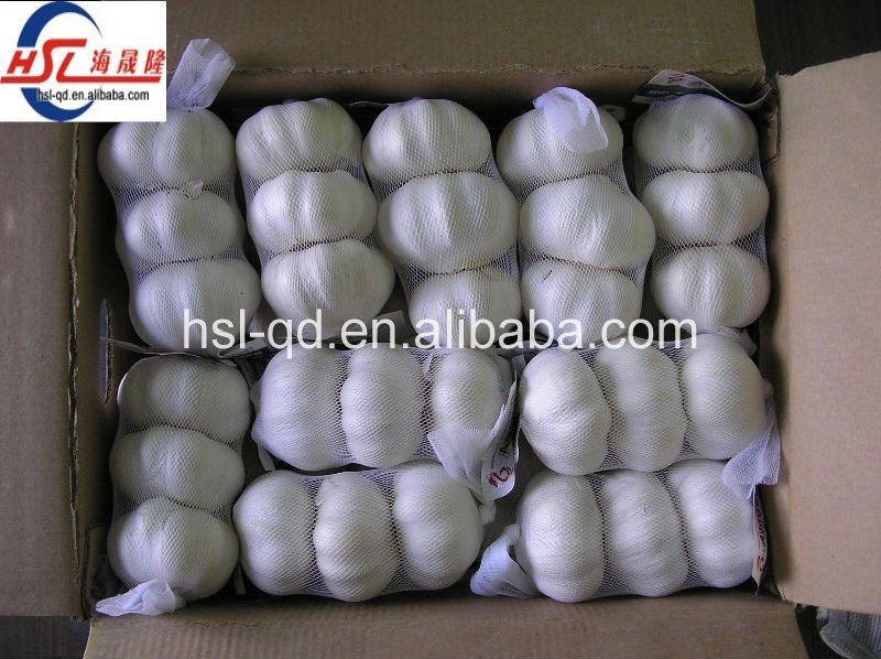 very fresh normal white garlic