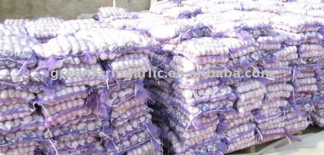 Supplying Jinxiang Pure  White Garlic Packed in Mesh Bags