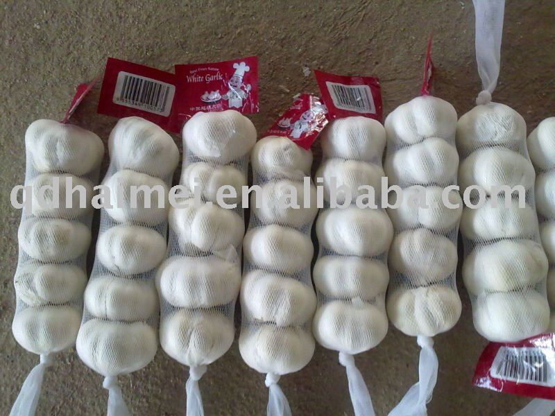 fresh pure white garlic
