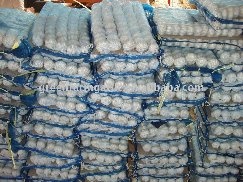 Greenfarm Fresh White Garlic Packed in Mesh Bags