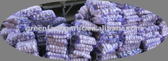 Jinxiang Pure  White Garlic Packed in Mesh Bags